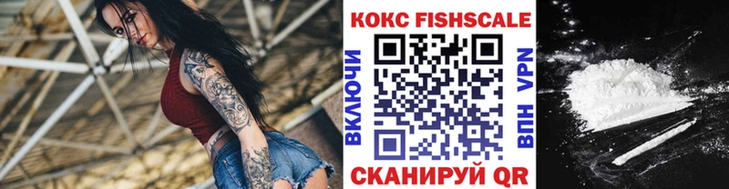 Cocaine FishScale  Купить  Темников 