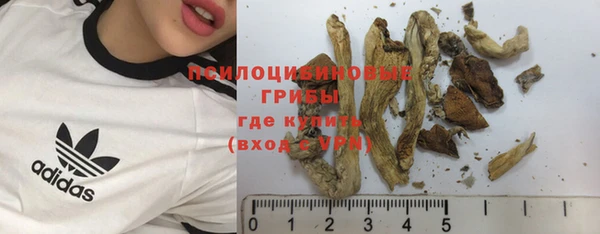 молекула духа Карталы