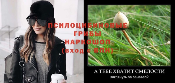 молекула духа Карталы